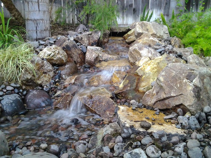 pond or pondless waterfall