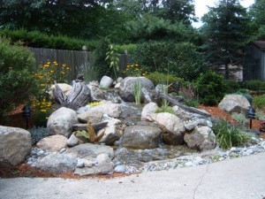 pondless 1