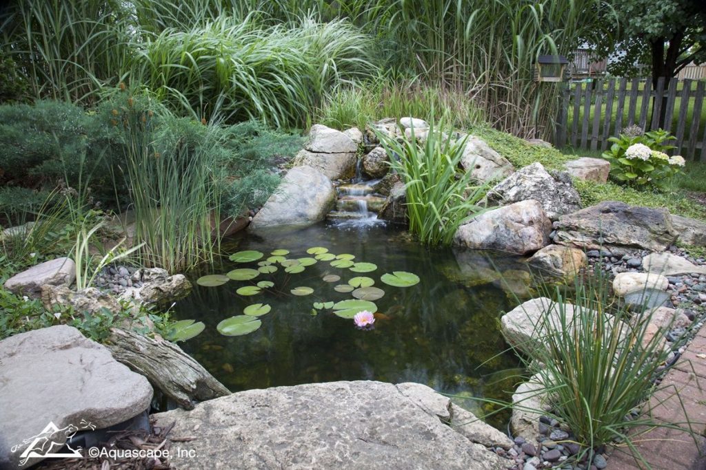 Pondman – San Diego's County's Premier Pond Maintenance And 